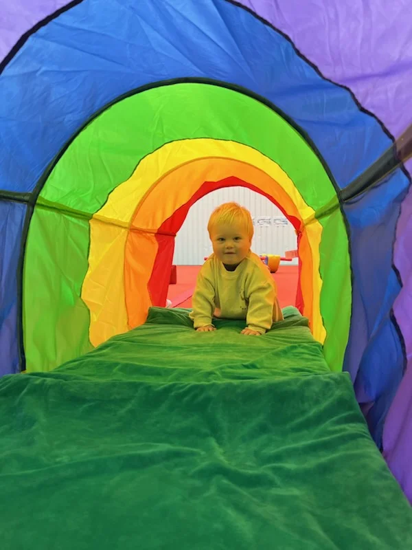 Bouncing Bunnies